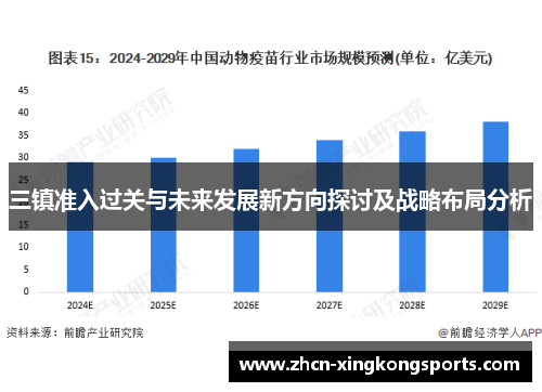 三镇准入过关与未来发展新方向探讨及战略布局分析